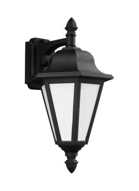 Brentwood Medium Downlight 1-Light Outdoor Wall Lantern