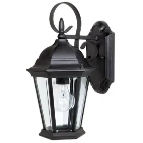 Carriage House 1-Light Outdoor Wall Lantern