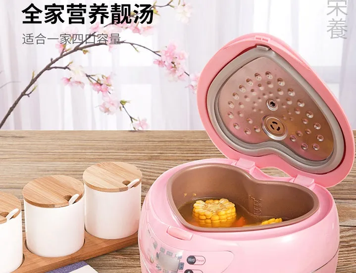 Heart Shaped Rice Cooker