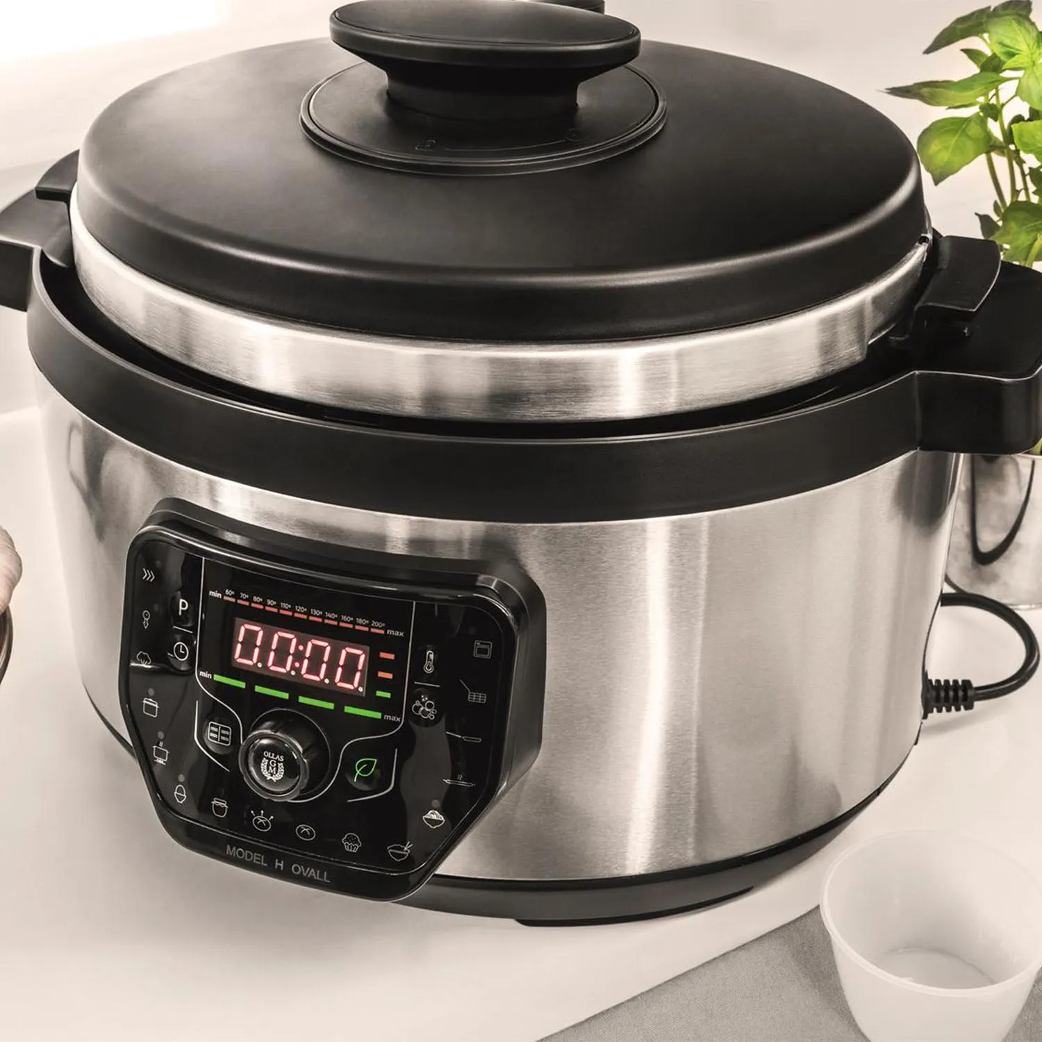 Pressure Cooker (8L)