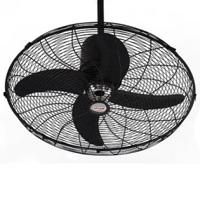 Royal Deluxe Circo Fan