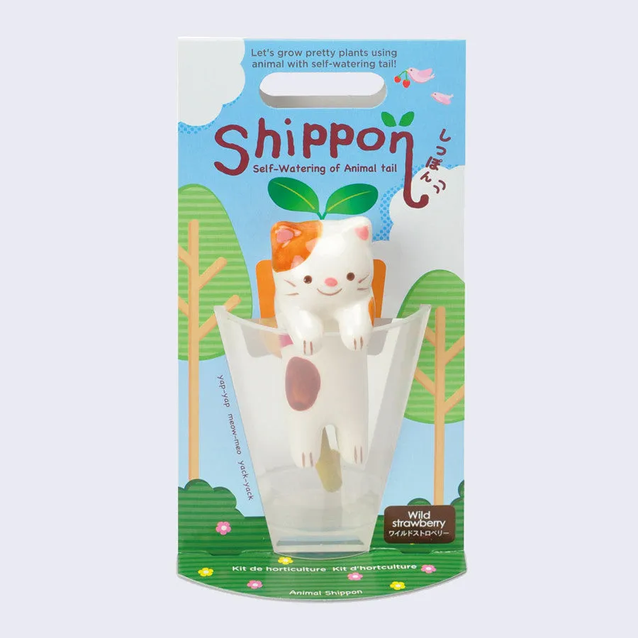 Shippon Self-Watering Mini Planter (Cat x Wild Strawberry)